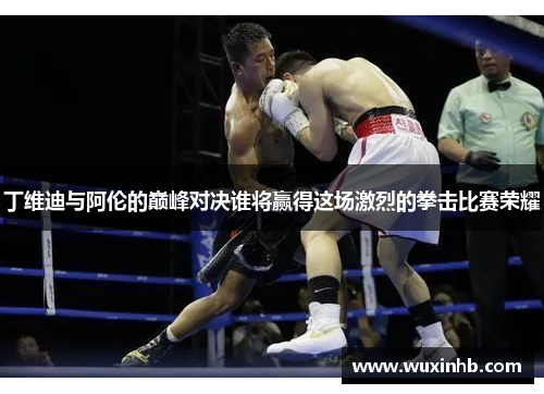 丁维迪与阿伦的巅峰对决谁将赢得这场激烈的拳击比赛荣耀 丁维迪与阿伦的巅峰对决谁将赢得这场激烈的拳击比赛荣耀